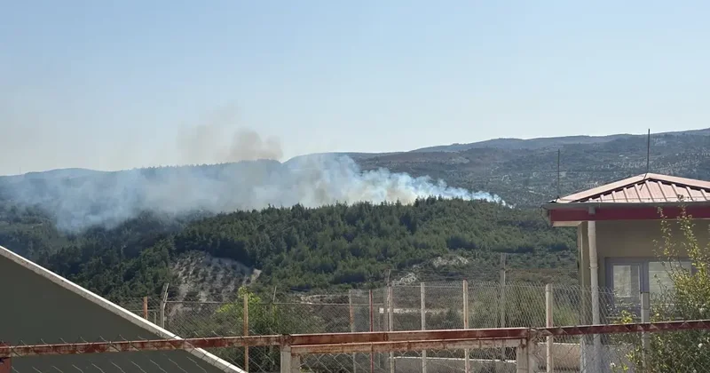 Türkiye yangın yeri! Hatay ve Manisa dan da alevler yükseldi