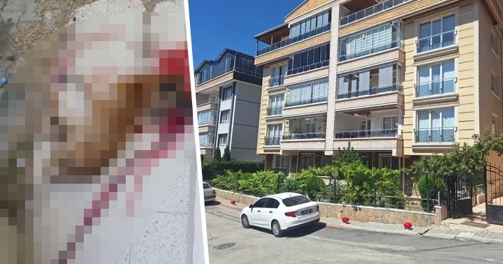 Ankara da polis, sokak köpeğini tabancayla vurarak öldürdü! Kendisine saldırdığını iddia etti