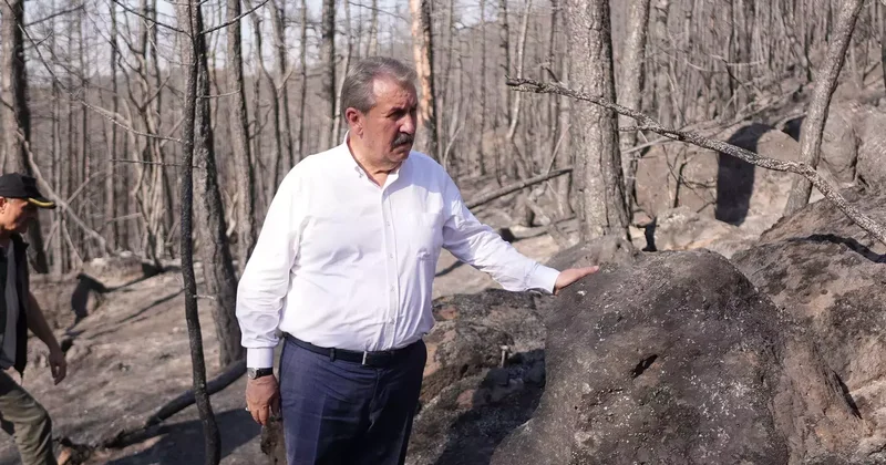 Destici: Ormanlarımızı yakanlar ifşa edilsin