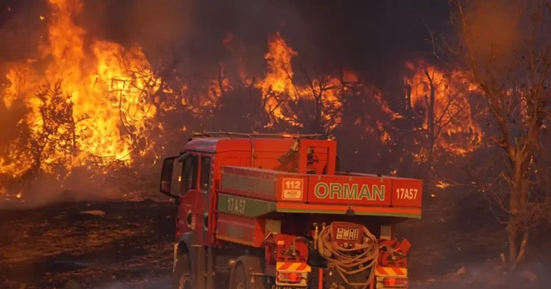 Ciğerlerimiz alev alev! 4 şehrimizde orman yangını
