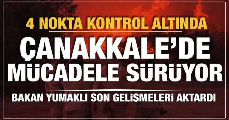 4 noktada alevler kontrol altında: Çanakkale de mücadele sürüyor!