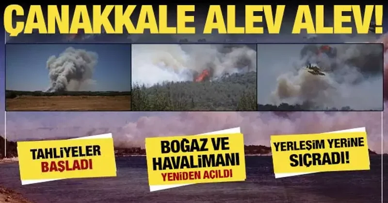 Çanakkale ve Edirne deki yangınlar büyüdü! Alevler hızla büyüyor