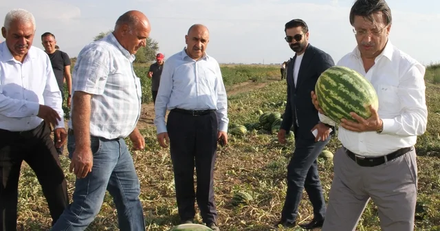 AK Parti Van Milletvekili Türkmenoğlu çiftçileri ziyaret etti Van Haberleri
