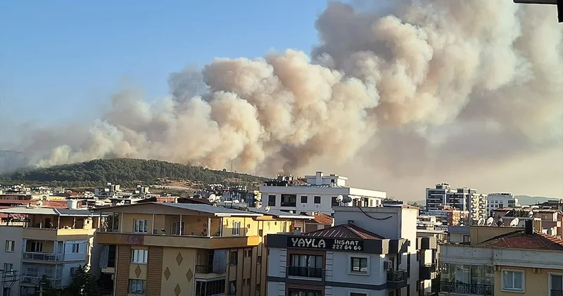 İzmir de korkutan görüntü: Ormanlar alev alev yanıyor Sözcü Gazetesi