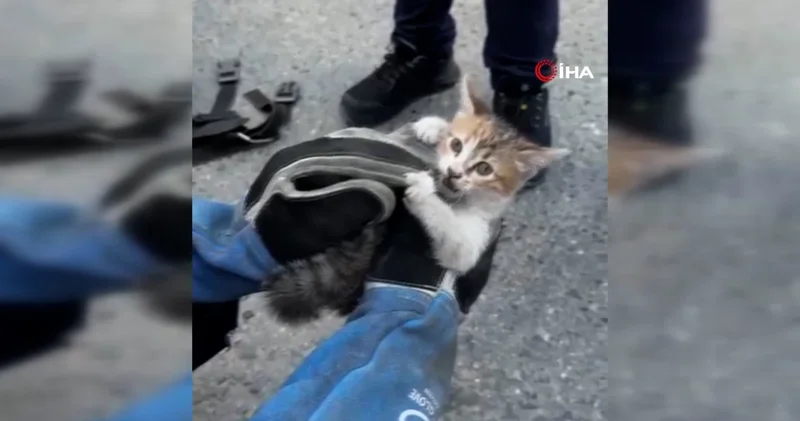 Gurbetçi aileye dönüşte sürpriz: Motor kısmından çıkarıldı