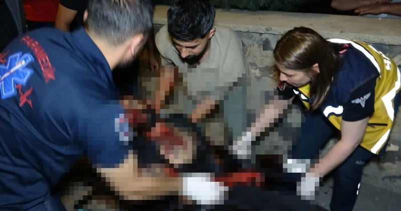 2 kardeşin birini öldürüp diğerini ağır yaraladılar