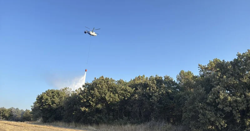 Çanakkale, Edirne ve Hatay daki yangınlar kontrol altında