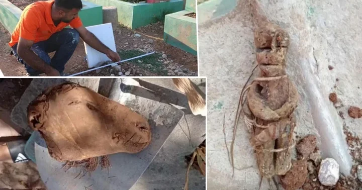 Diyarbakır da mezarlıkta şoke eden manzara! Bulduklarımızı yakıp imha ediyoruz