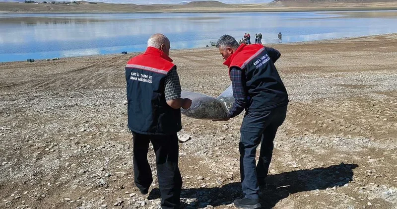 500 bin yavruyu göle attılar: Poşetlere koyup taşıdılar