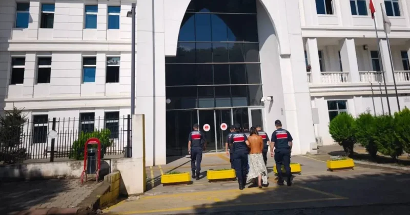 Fındık hırsızları cezaevine gönderildi!