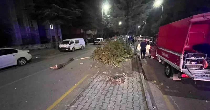 Takla atan otomobilden çıkartılan sürücünün ilk isteği şaşırttı