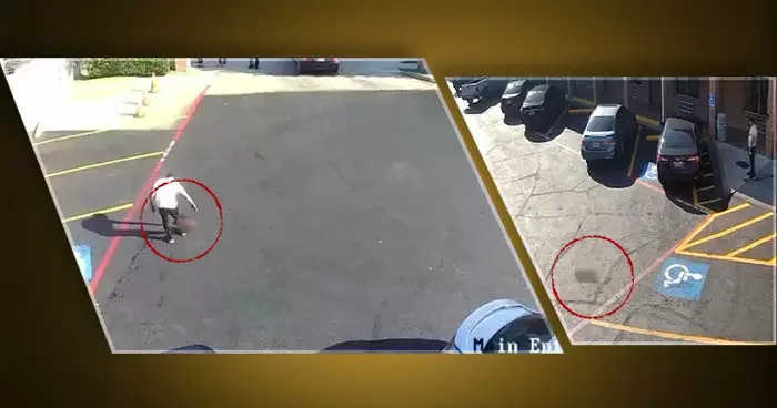 Önce Ukraynalı göçmen sonra Charlie Kirk... Şimdiki ise adeta vahşet: Kafasını kesti, asfaltta yuvarladı ve çöpe attı: Sebebi belli oldu!