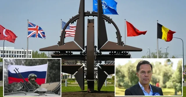NATO da Rusya paniği: İttifakın doğu kanadı için askeri hamle başlatıldı Dünya Haberleri