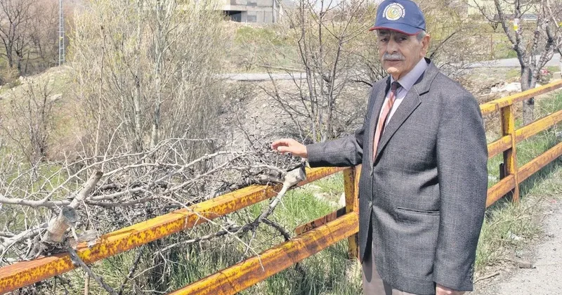 Orman Dede 35 yıldır yeşillendiriyor