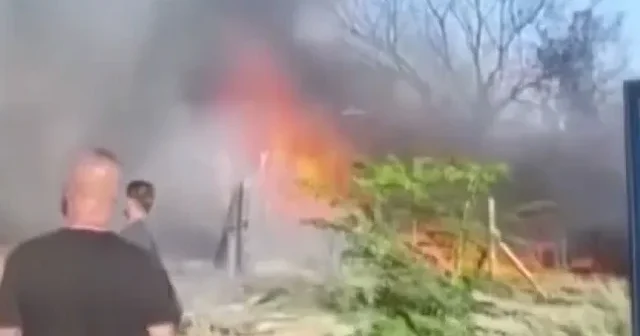Adana da ağaçlık alanda yangın çıktı VİDEO İZLE