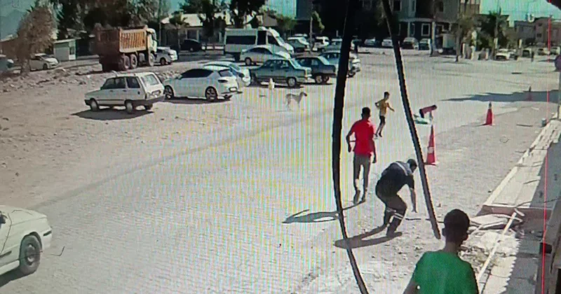 Hatay da sokak köpeklerinin saldırdığı çocukları çevredekiler kurtardı