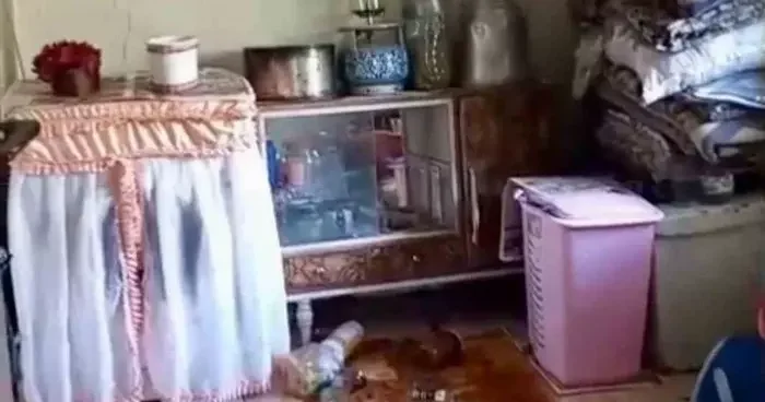 Ayılar yerleşim alanlarına indi, yöre halkı endişeli