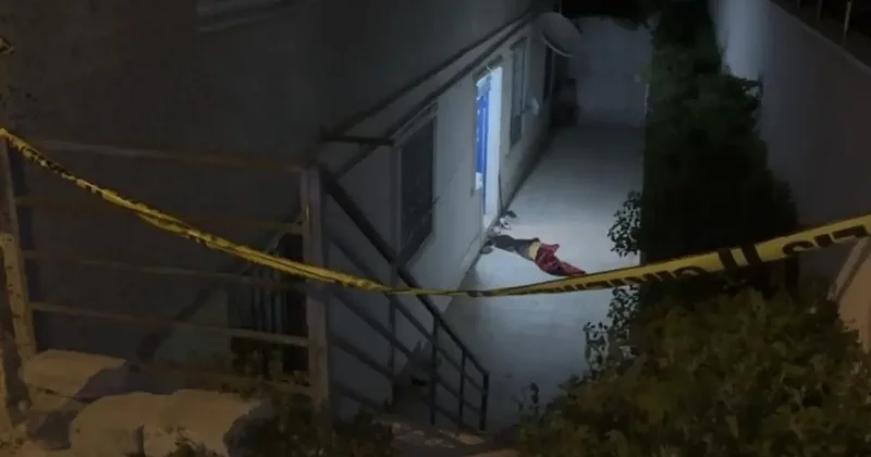 Madde etkisindeki kadın polise bıçakla saldırdı
