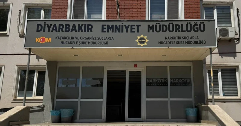 Ölü koyunun karnından uyuşturucu çıktı!