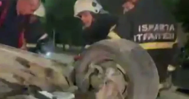 Takla atan aracından çıkarılan sürücünün ilk sözleri pes dedirtti VİDEO İZLE