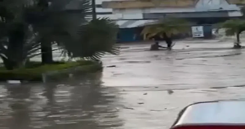 Meksika da sel: 41 ölü