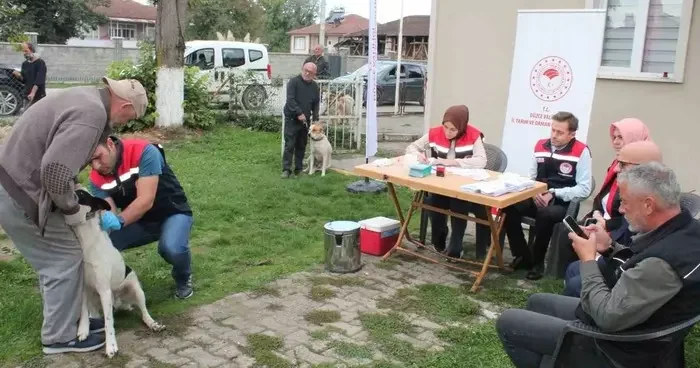 Düzce’de binlerce hayvana mikroçip takıldı