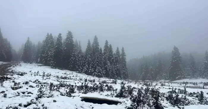 Bolu’nun yüksekleri beyaz örtüyle kaplandı