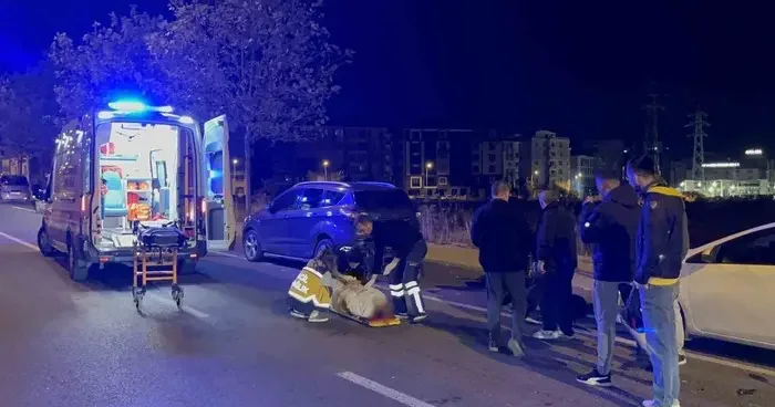 Park halindeki otomobile çarpan 15 yaşındaki motosikletli yaralandı