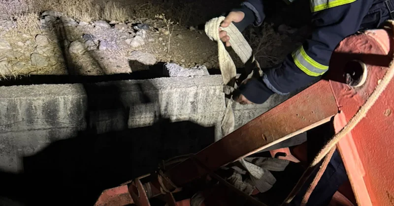 Siirt te su kanalına düşen inek kurtarıldı Sözcü Gazetesi