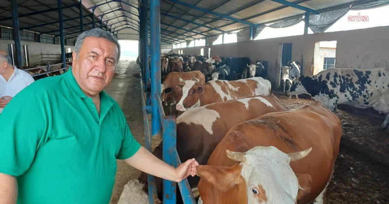 Gürer et fiyatlarına isyan etti: Üretici değil, ithalat kazanıyor Sözcü Gazetesi