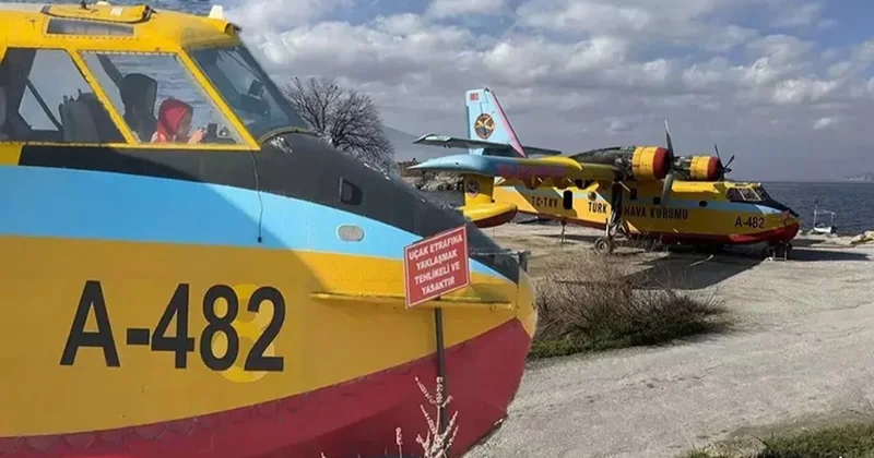 Ateş Kuşları Saray’ın himayesinde çürüyor Sözcü Gazetesi