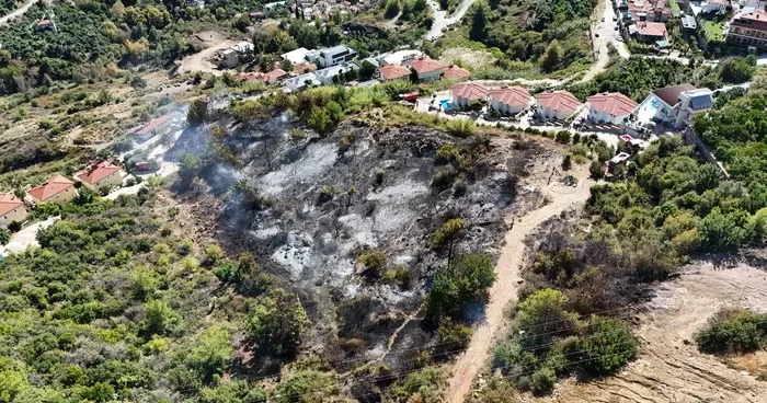 Alanya da villalara yakın ağaçlık alanda yangın
