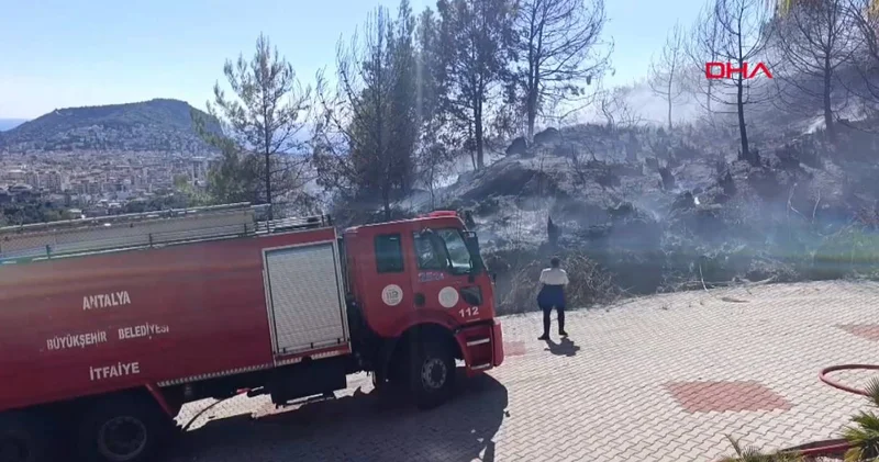 Alanya da yangın villalara sıçramadan söndürüldü
