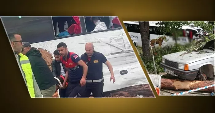 Katliam gibi kazada 8 kişi hayatını kaybetmişti! Dehşet anları ortaya çıktı... Her şey saniyeler içinde olmuş