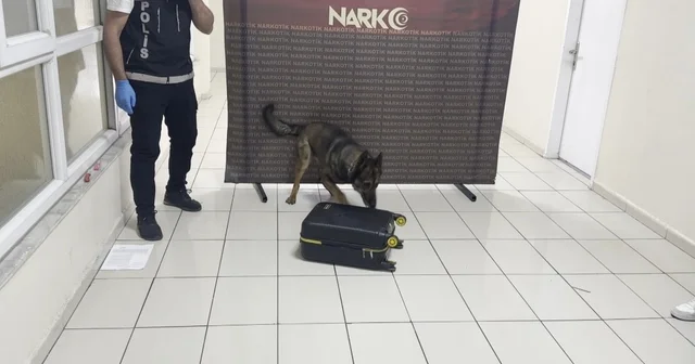 Otobüste valizine gizlediği uyuşturucuyu Mailo buldu; tutuklandı Batman Haberleri