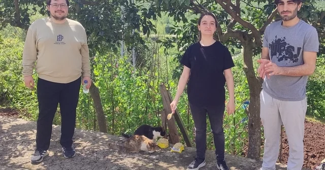 Giresun da geleceğin şefleri sahipsiz hayvanlar için mama hazırladı Giresun Haberleri