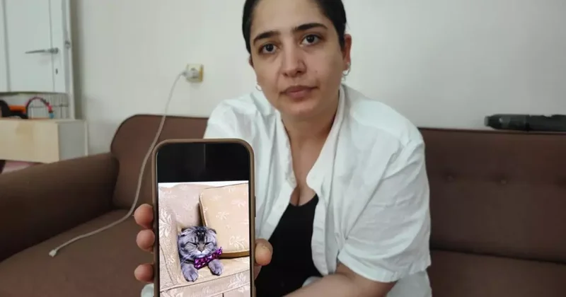 Kaybolan Kedisine 15 Bin Lira Ödül