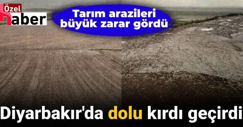 Diyarbakır da dolu kırdı geçirdi: Tarım arazileri yok oldu