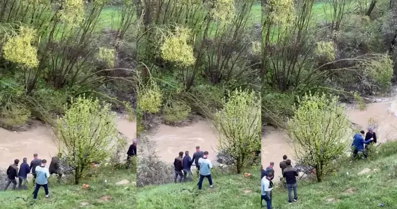 Gümüşhane’de hafif ticari araç dereye devrildi: 1 ölü, 4 yaralı