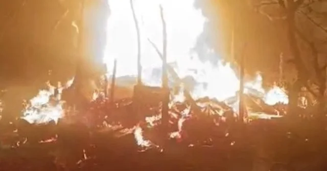 Bilecik te arı kovanları alev alev yandı VİDEO İZLE