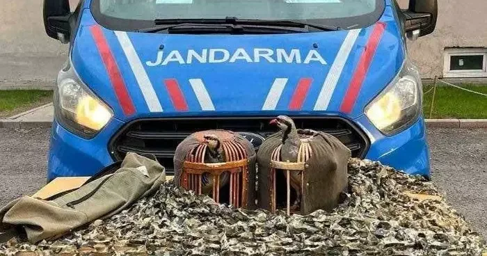 Jandarmadan yasa dışı keklik avcılarına suçüstü