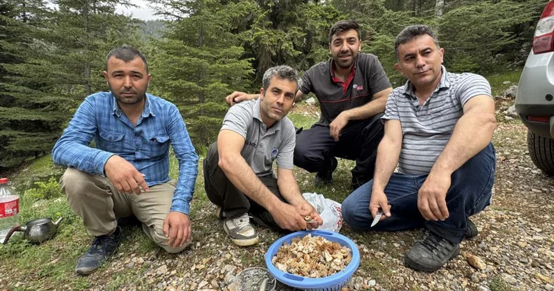 Toplaması bir tutku! Yerini bilenler bunu sır gibi saklıyor: Altın bulsak bu kadar sevinmeyiz