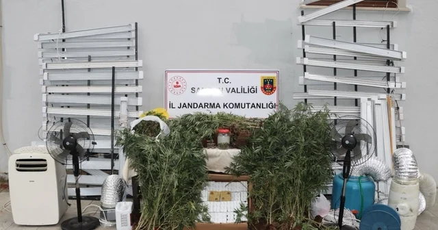 Samsun da evine iklimlendirme sistemi kurup uyuşturucu üreten zanlı yakalandı Samsun Haberleri