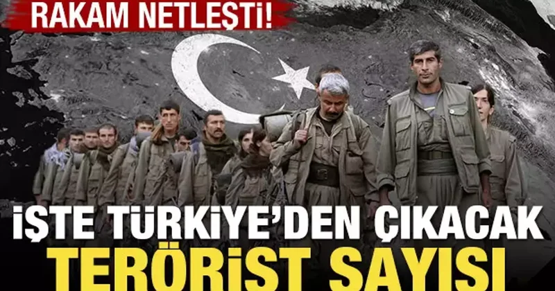 Türkiye den çıkacak terörist sayısı belli oldu!