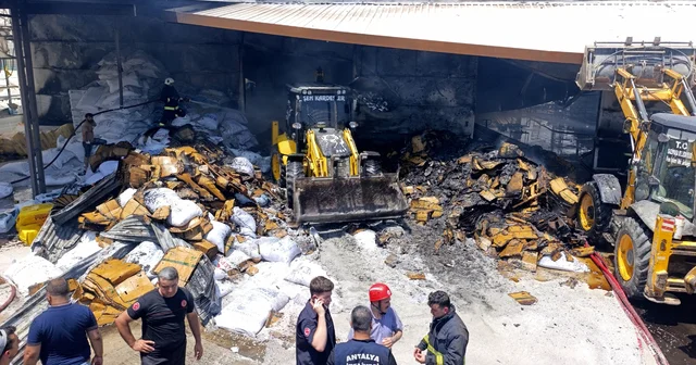 Antalya da fide üretim tesisinde yangın (2) Yeniden Antalya Haberleri