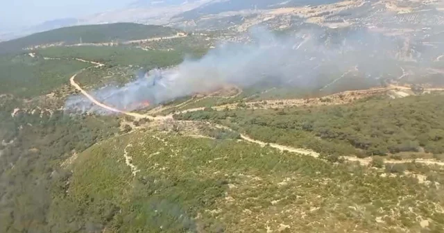 Foça da orman yangını İzmir Haberleri