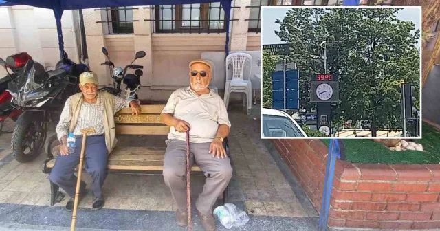 Aydın da termometreler 39 u gösterdi: Vatandaşlar gölgeye sığındı Aydın Haberleri