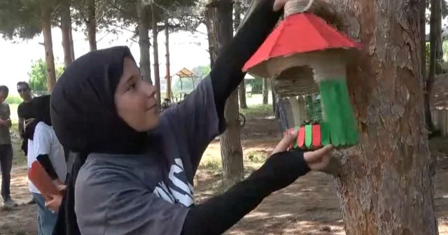 Ortaokul öğrencileri atık malzemelerden kuş evi yaptı: Millet Bahçesi ne astılar VİDEO İZLE