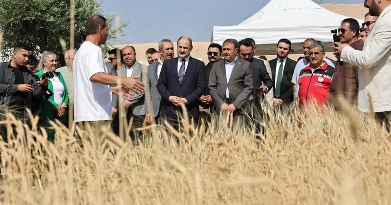 Şanlıurfa da Uluslararası Buğday Hasadı Festivali başladı