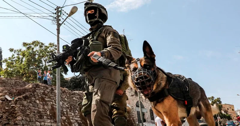 Avrupa dan İsrail e bir başka silah desteği: Saldırı köpekleri